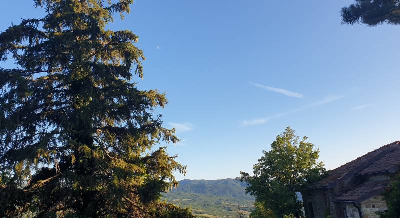cielo terso