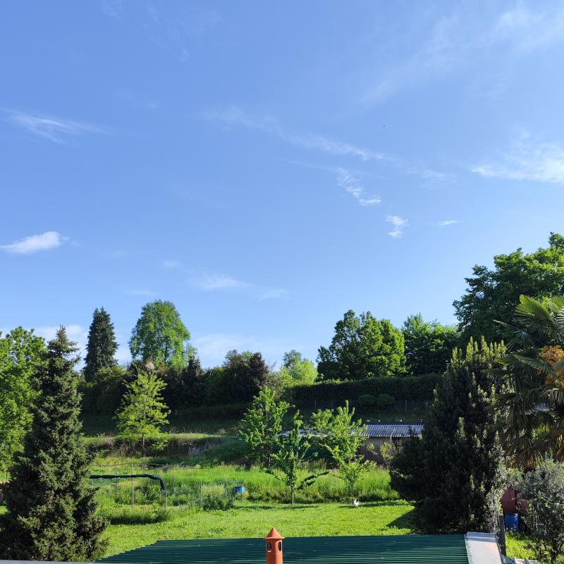 Fotosegnalazione di Beregazzo con figliaro