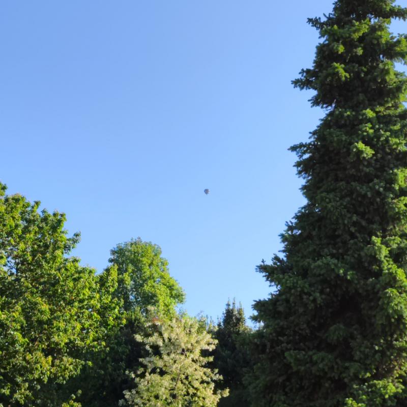 La mongolfiera