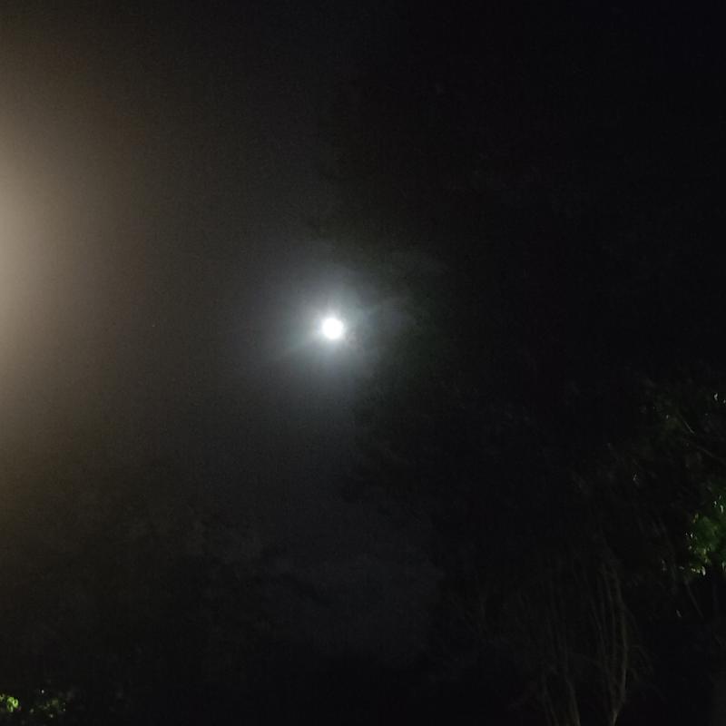 Fotosegnalazione di Monzambano