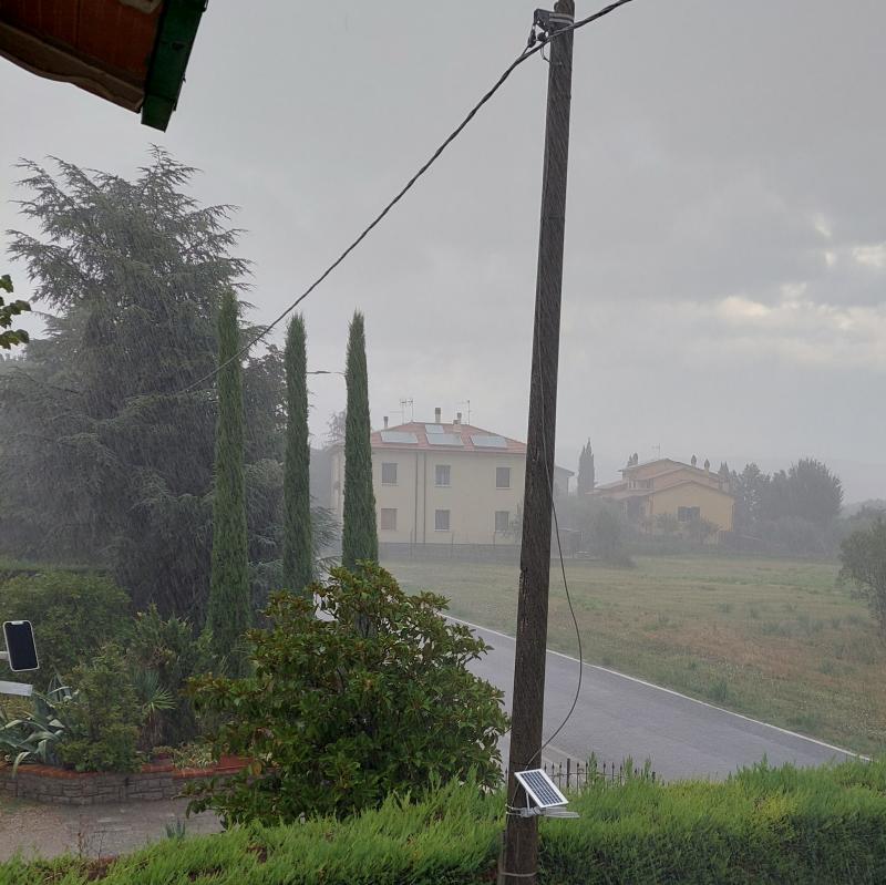 Fotosegnalazione di Cortona