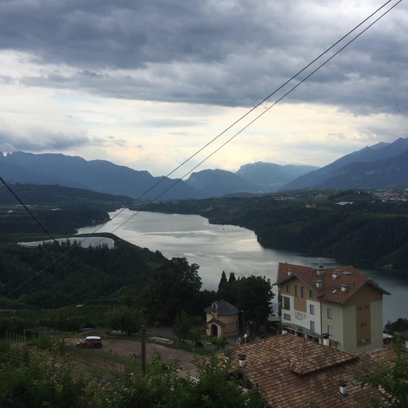 Fotosegnalazione di Cagno'