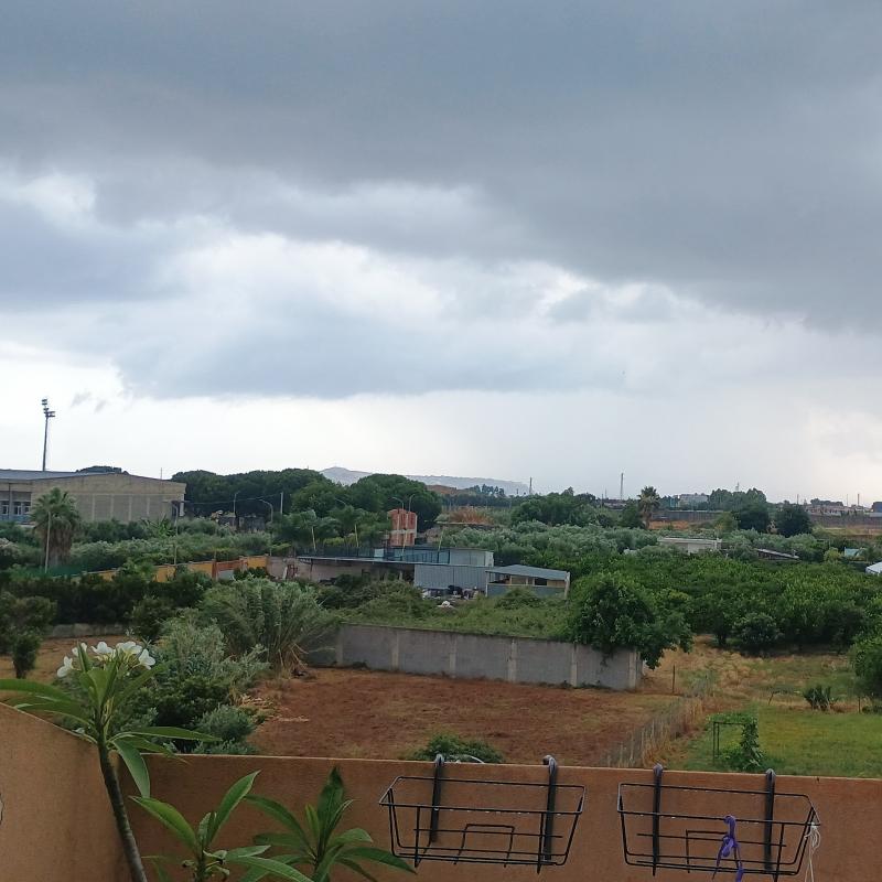 Fotosegnalazione di Meri'