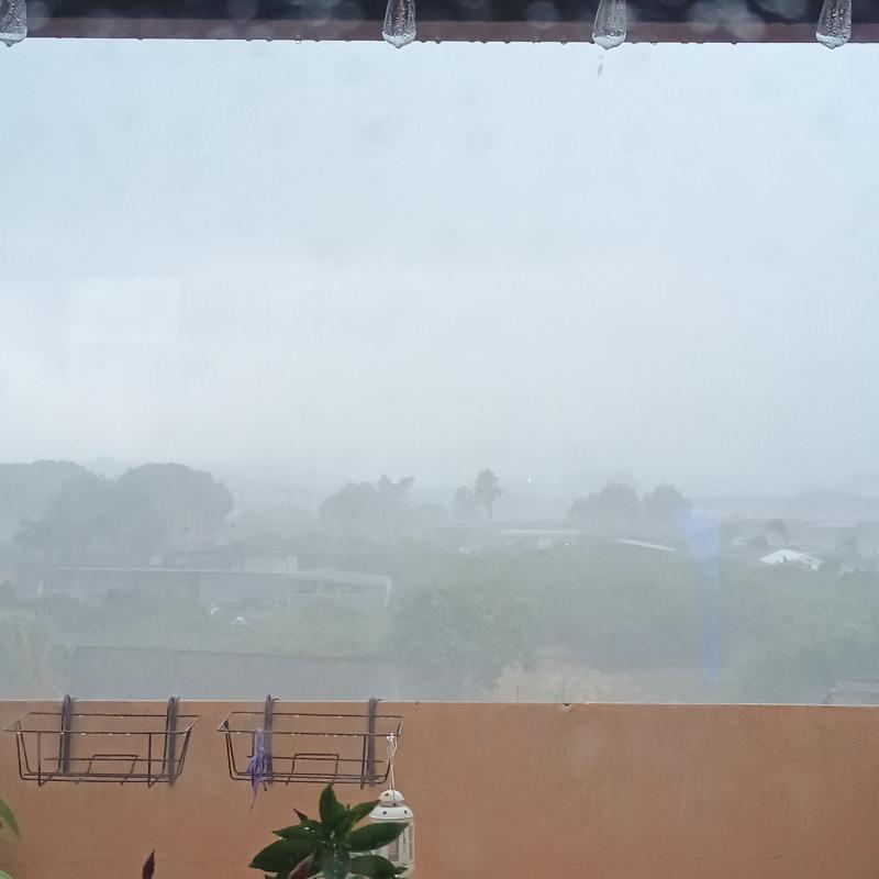 Fotosegnalazione di Meri'