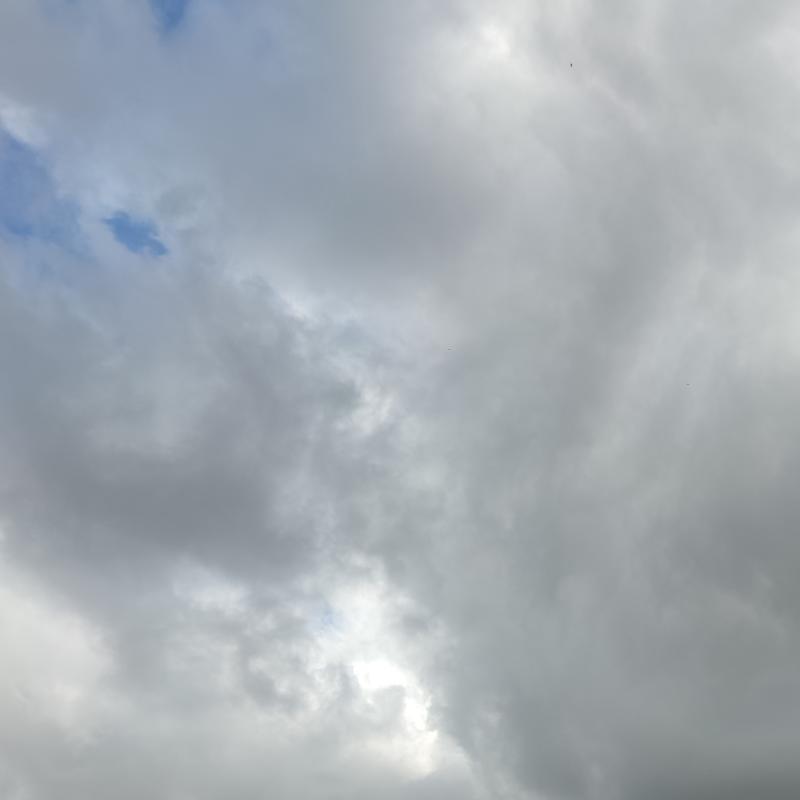 Fotosegnalazione di Viareggio