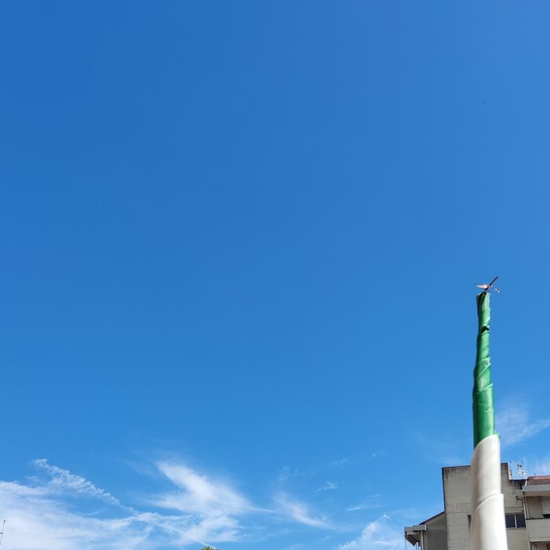 Fotosegnalazione di Viareggio