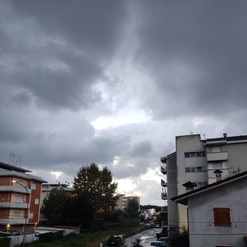 Revisione della previsione