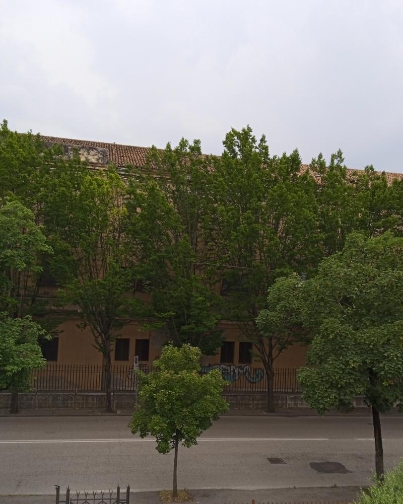 verona centro