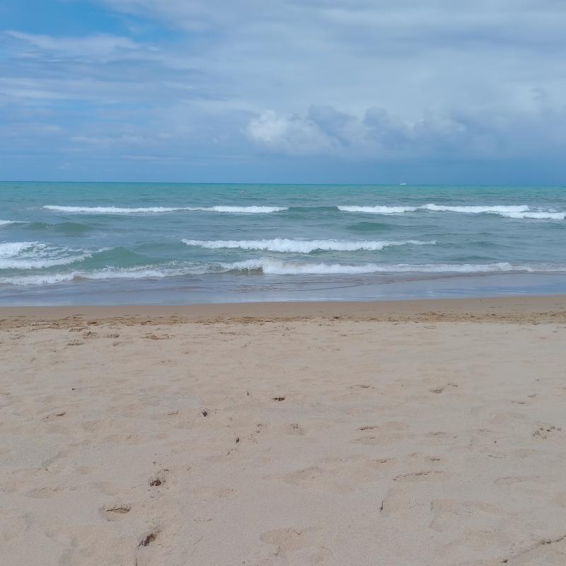 Fotosegnalazione di San vincenzo