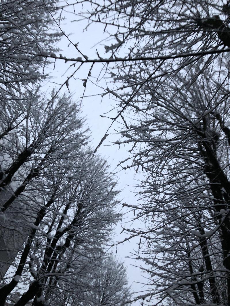 Immacolata con la neve
