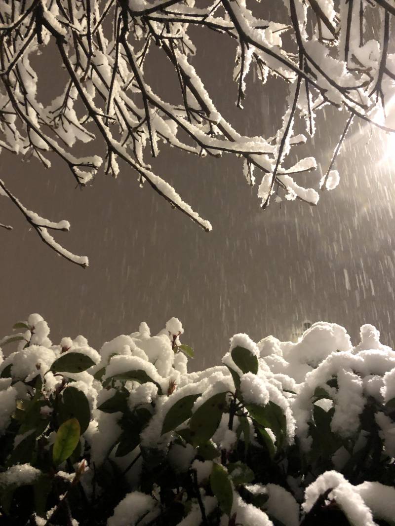 San valentino con neve