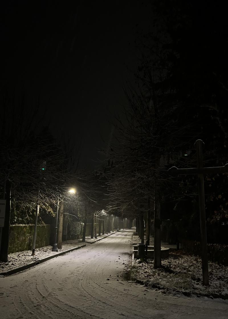 per limmacolata arquata si veste di bianco