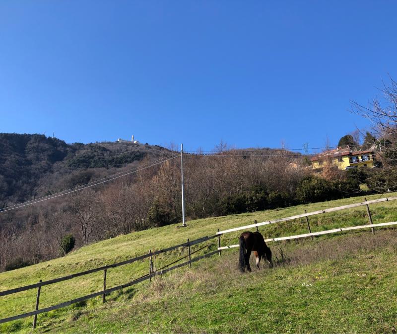 Fotosegnalazione di Ceranesi