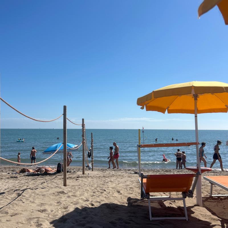 Fotosegnalazione di Rosolina mare