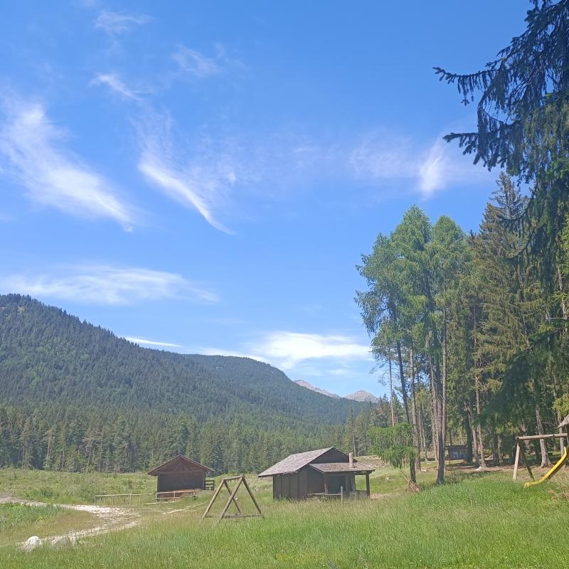 Fotosegnalazione di Brez