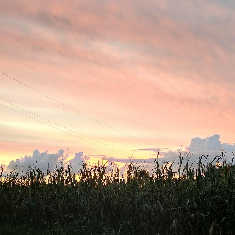 Nuvole all'alba