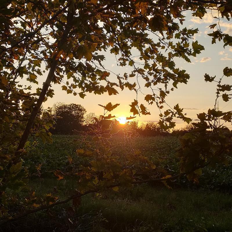 Fotosegnalazione di Camponogara