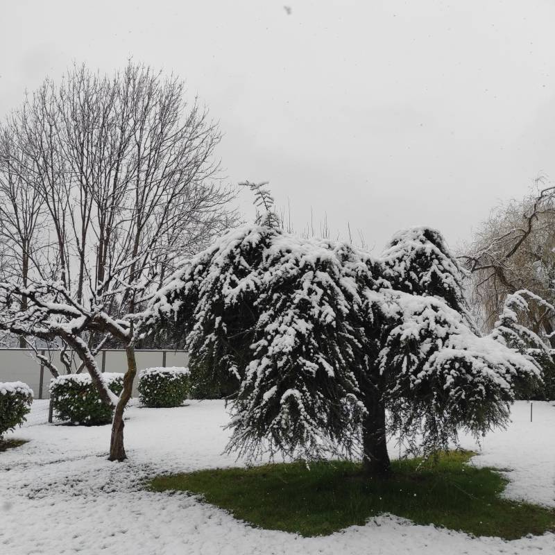 Fotosegnalazione di Cazzano sant'andrea