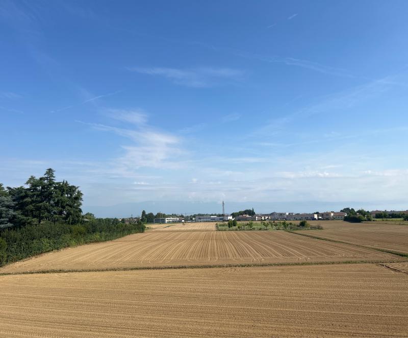 Fotosegnalazione di Vicenza centro urbano