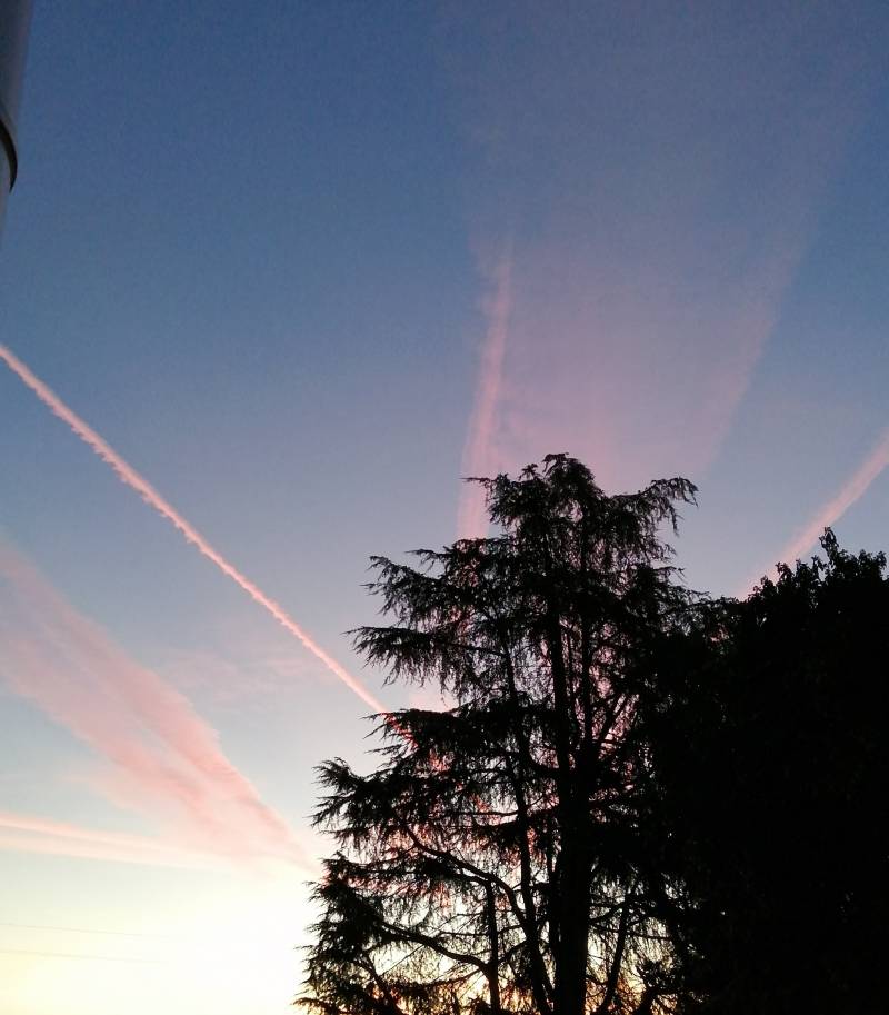 the sky this morning