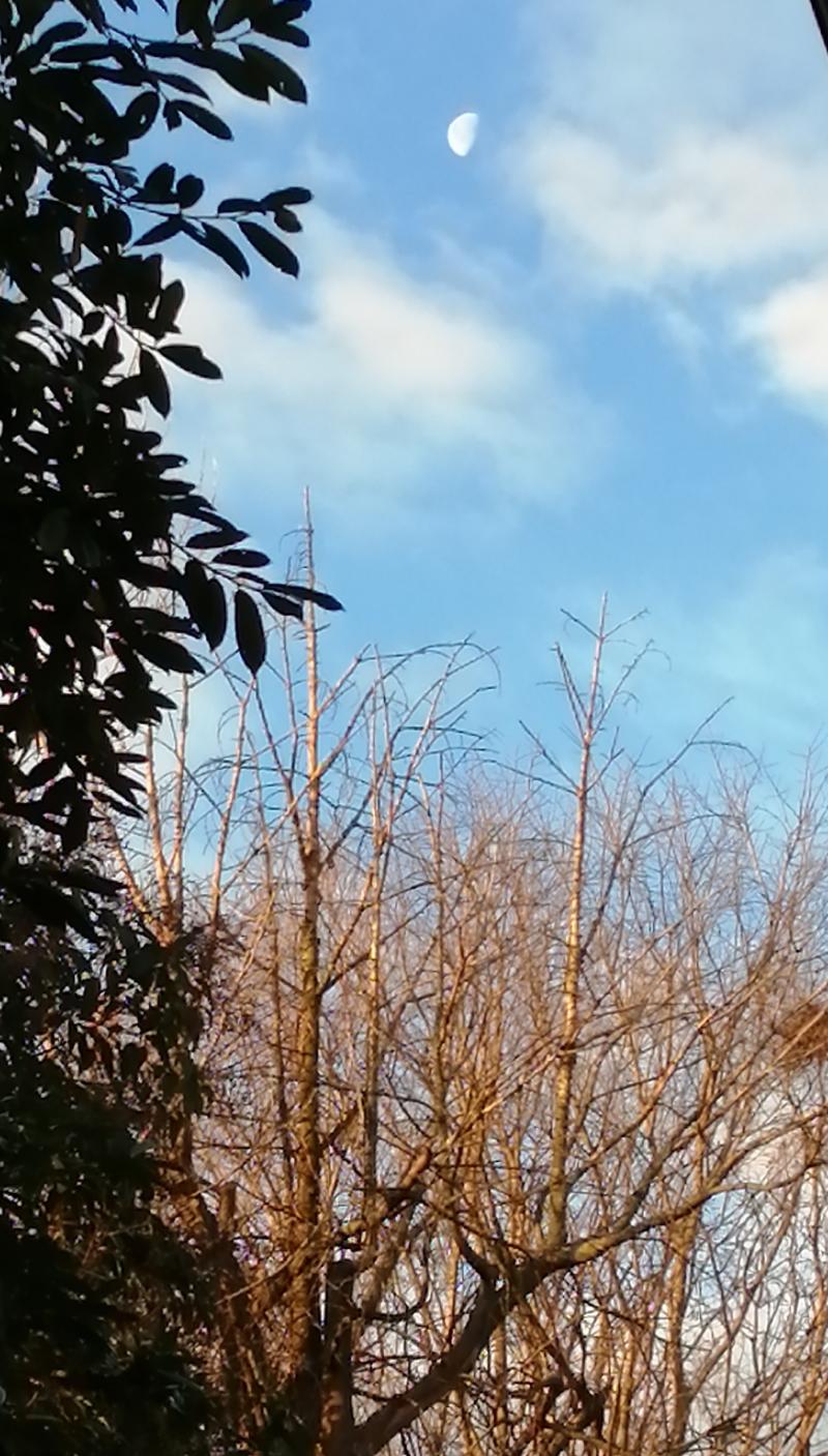 1 giorno d'inverno