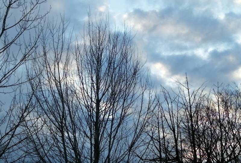 tramonto il 01 febbraio 2025