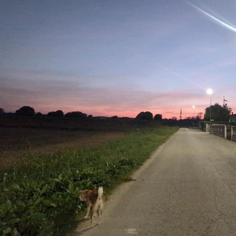Fotosegnalazione di Cordenons