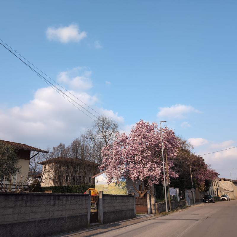 Fotosegnalazione di Cordenons