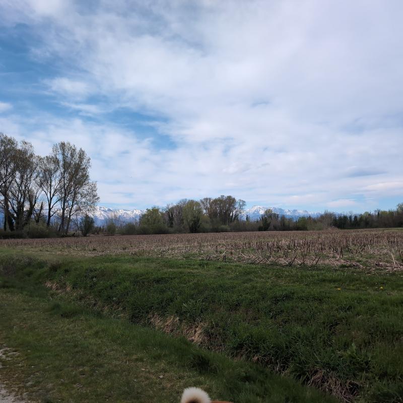 Fotosegnalazione di Cordenons