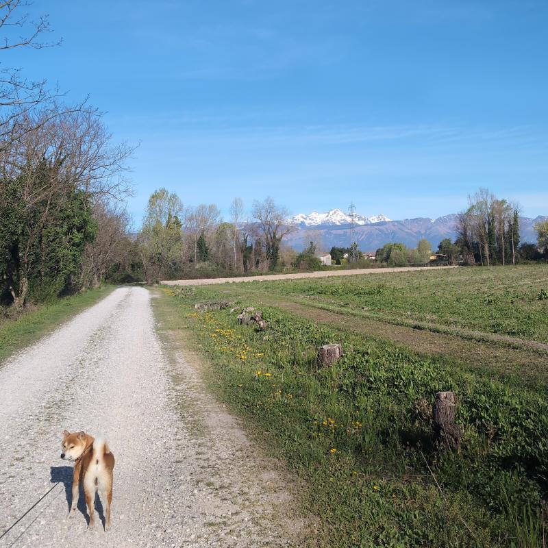 Fotosegnalazione di Cordenons