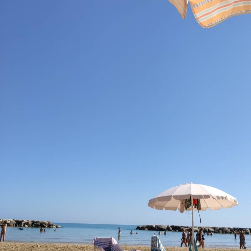 Fotosegnalazione di Trebbiantico