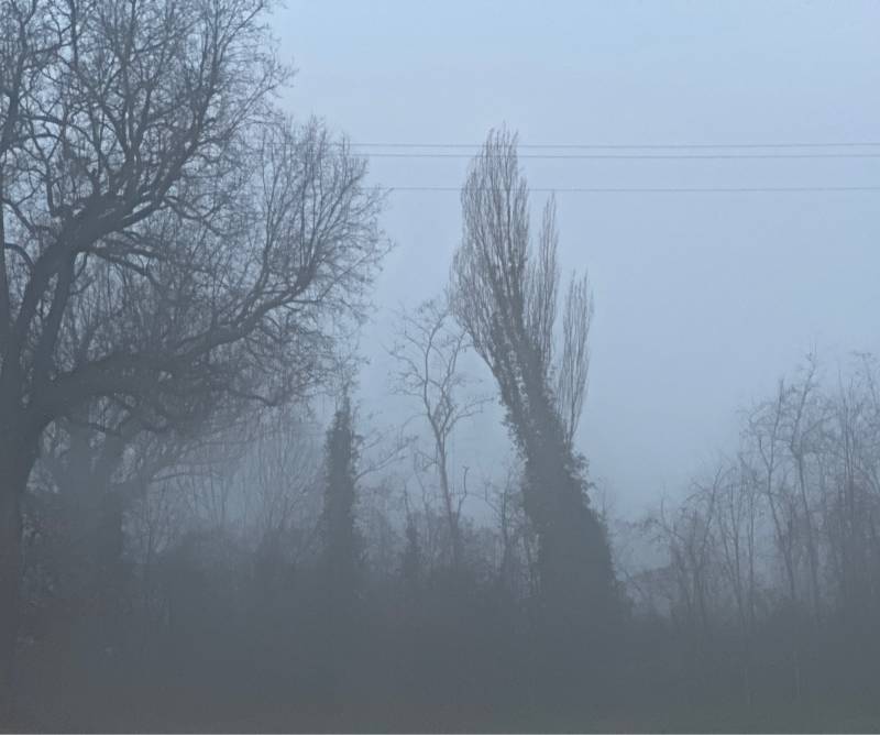 Fotosegnalazione di Vallefoglia