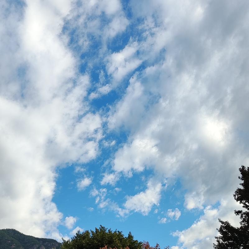 Fotosegnalazione di Bolzano san quirino - gries