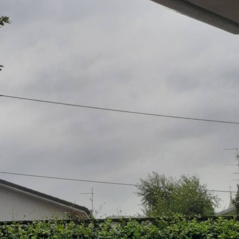 Fotosegnalazione di Robecchetto con induno