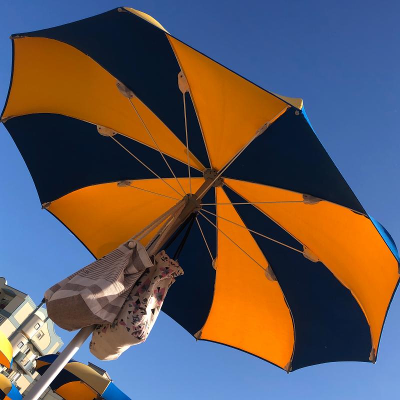 Fotosegnalazione di Bellaria igea marina