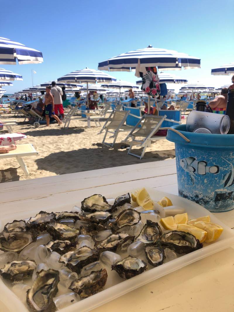 Fotosegnalazione di Bellaria igea marina