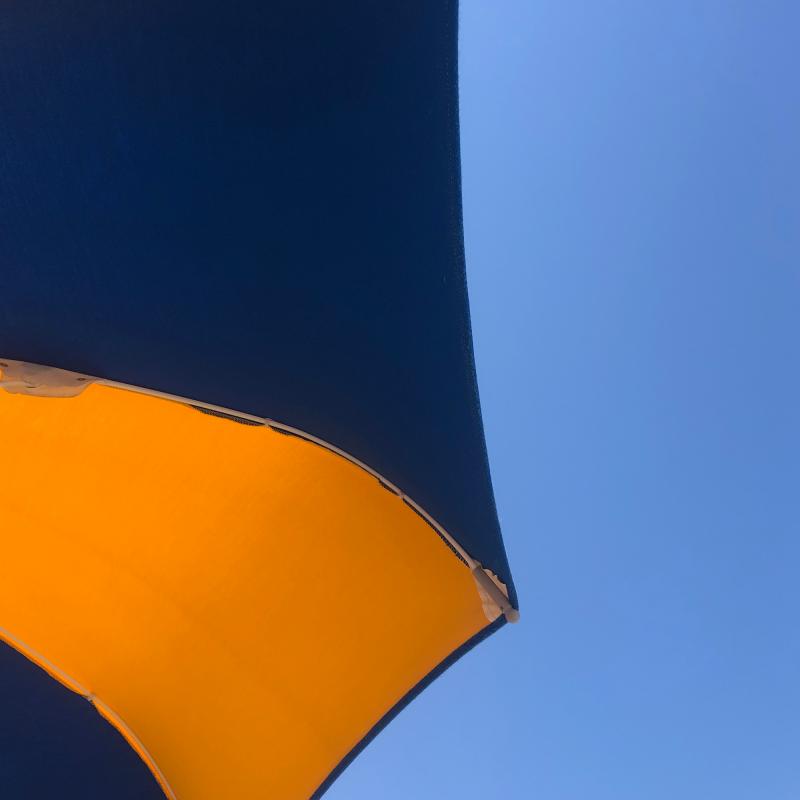 Fotosegnalazione di Bellaria igea marina