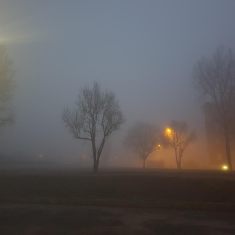 Fotosegnalazione di Chieri