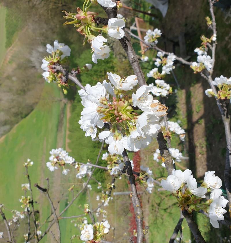 01 aprile pasquetta 2024