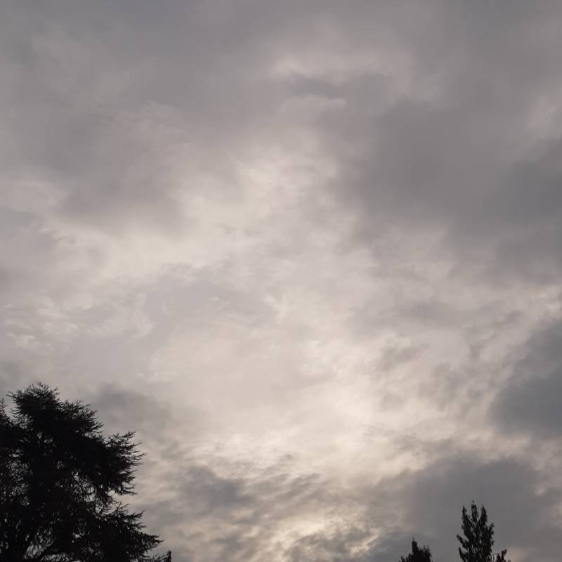 Fotosegnalazione di Treviso sud