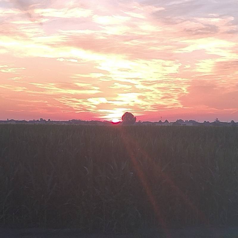 Fotosegnalazione di Bovolone