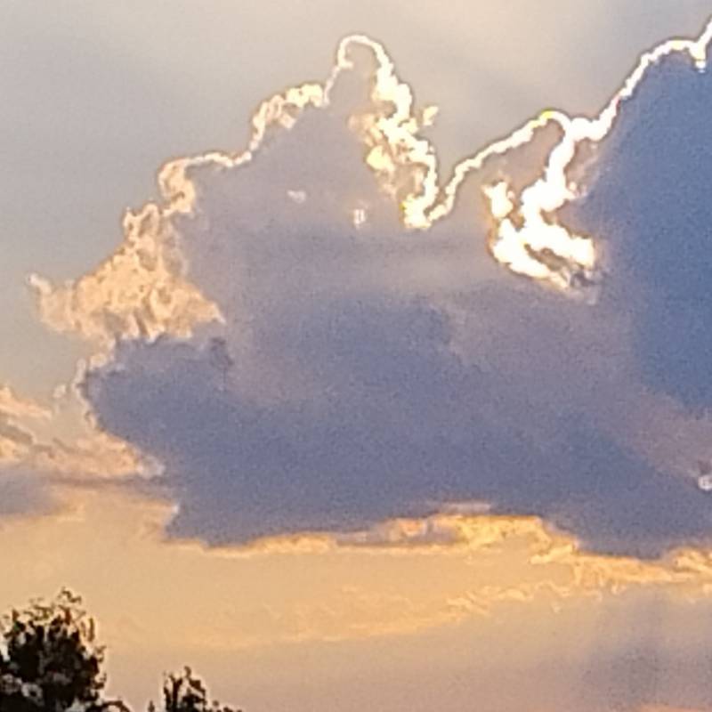 Fotosegnalazione di Bovolone