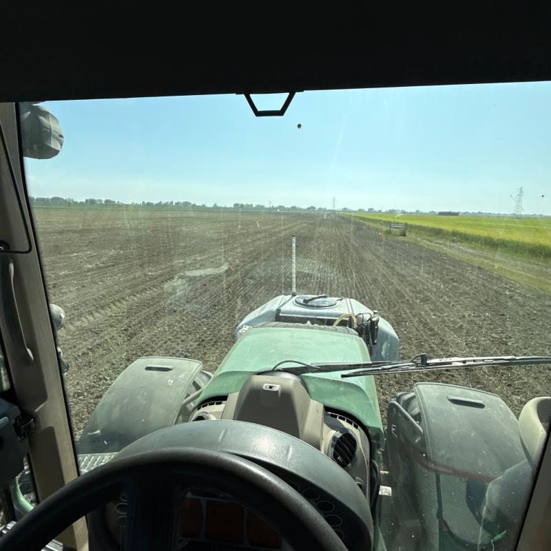 Fotosegnalazione di Argenta