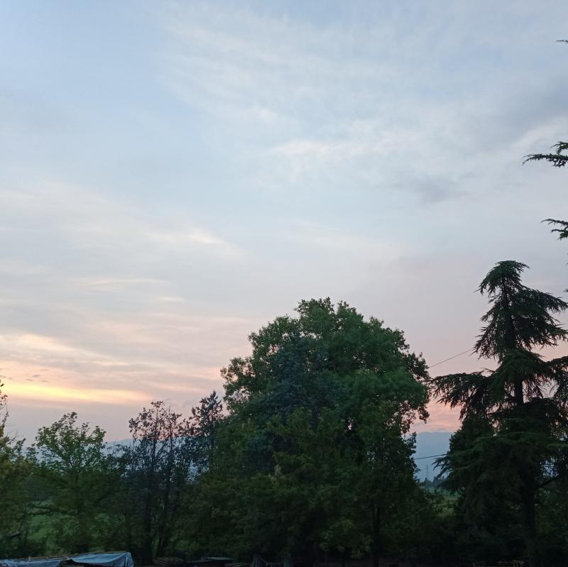 Fotosegnalazione di San quirino
