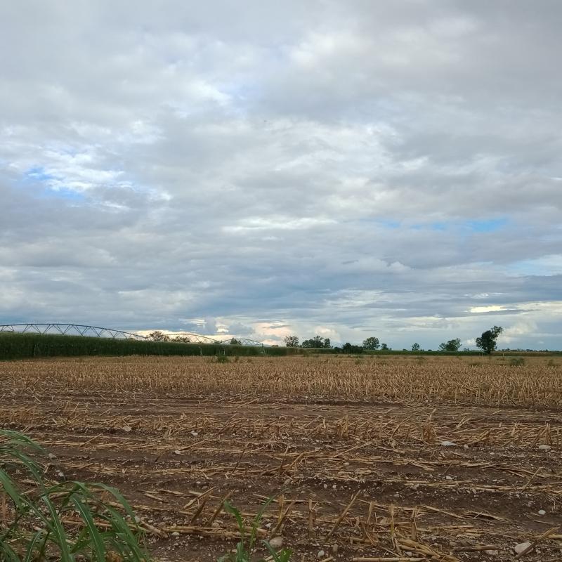Fotosegnalazione di San quirino