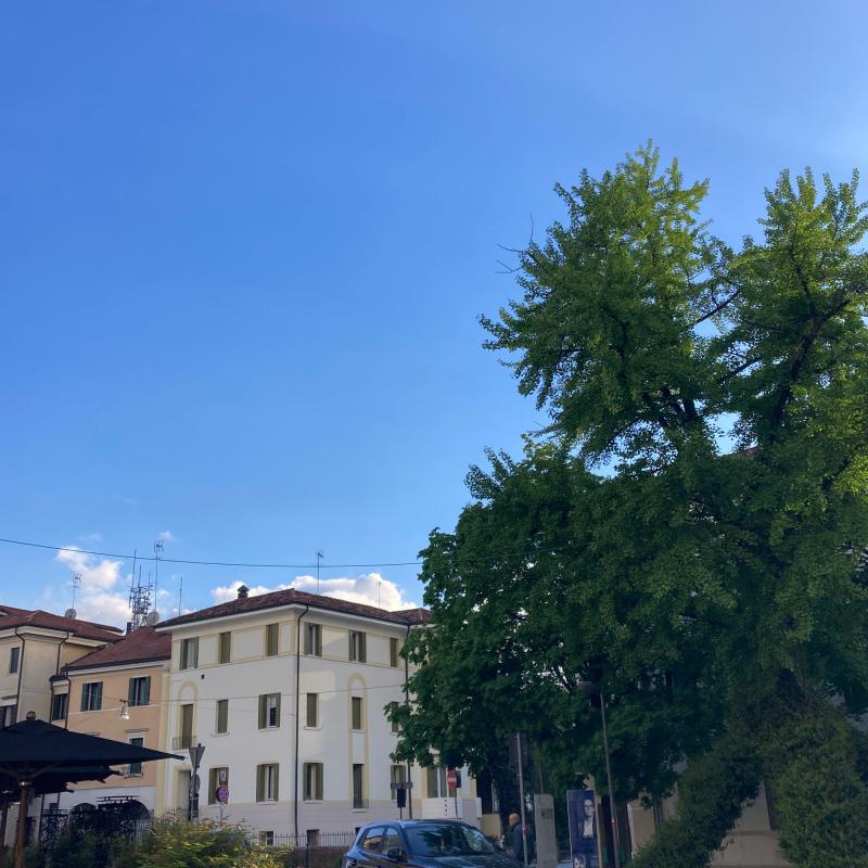 Fotosegnalazione di Treviso centro urbano