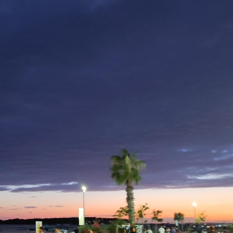 Fotosegnalazione di Porto cesareo