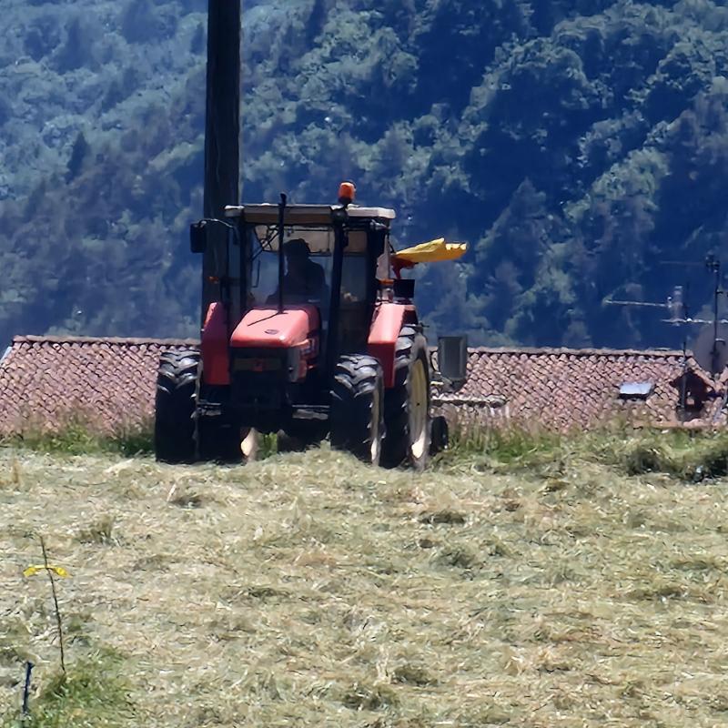 Fotosegnalazione di San lorenzo di rovetta