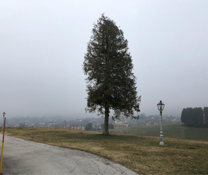 Fotosegnalazione di Asiago