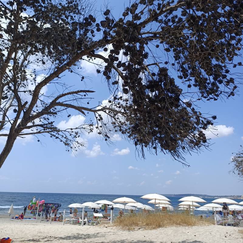 Fotosegnalazione di Rivabella di gallipoli